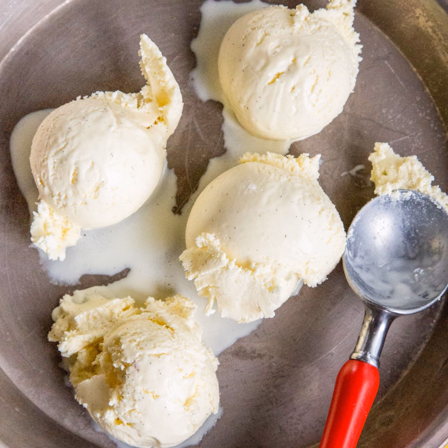 What does vanilla bean ice cream look like?