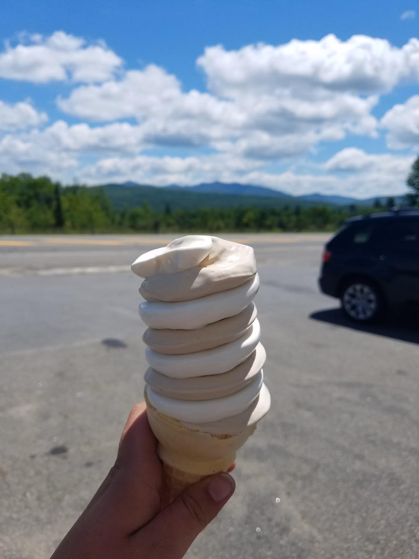 What is Donnelly soft serve?