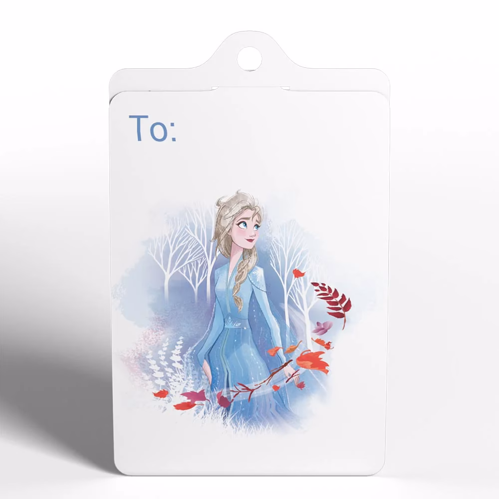 How does CHAOS tag work?