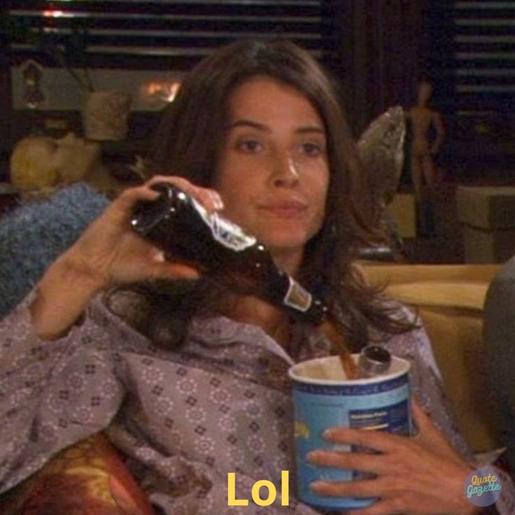 How does Robin meet Ted Mosby?