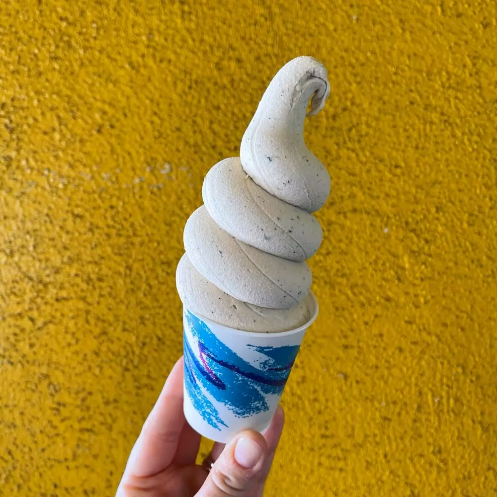 What is organic vanilla reduced fat ice cream mix?