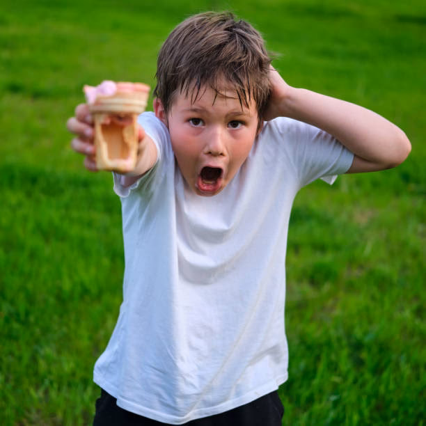 How many days in jail for ice cream thief?