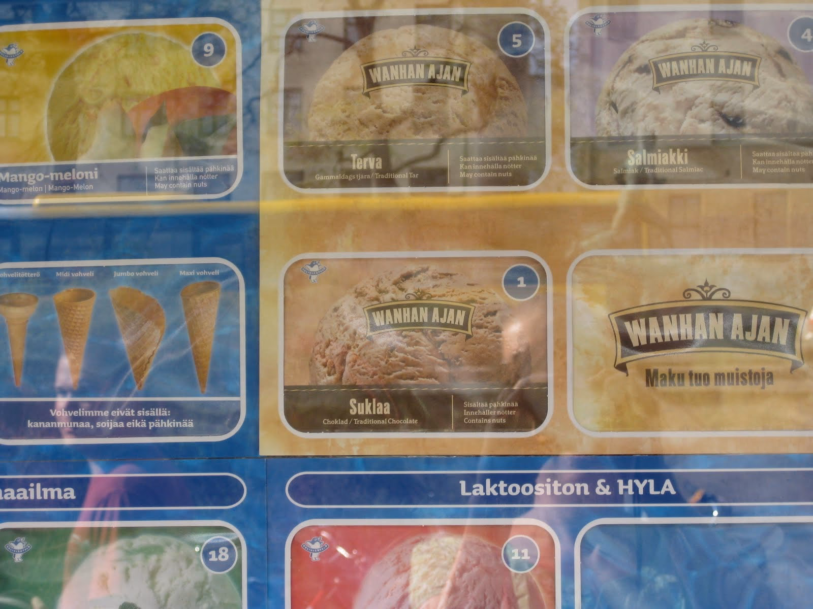 Where did Terva Leijona come from?