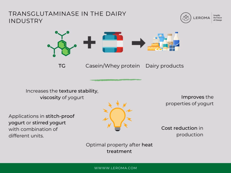 Can mtgase be used to produce functional cheese and ice cream?