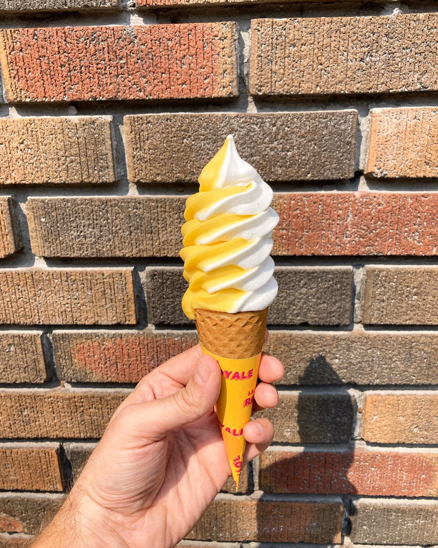 Is so delicious vegan ice cream?